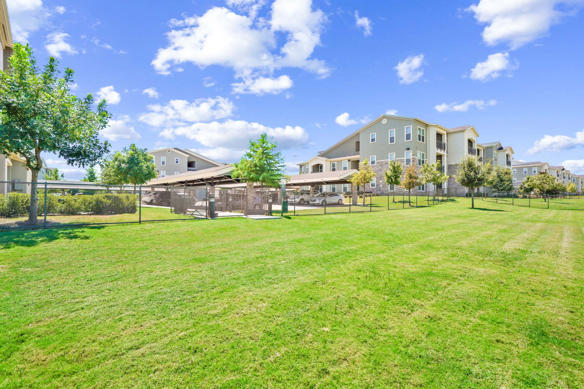 The lawn at Embree Hill apartments in Dallas, TX.